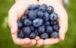 Blueberry